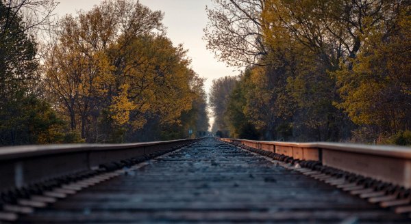 r_d_smith_x7dH9RMb_Pw_unsplash.jpg_COL_07387